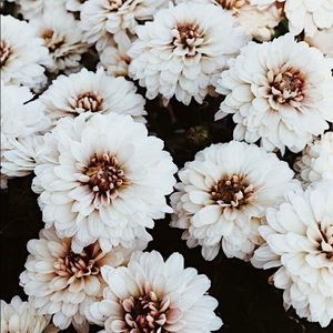 Meet your Posher, Kristian